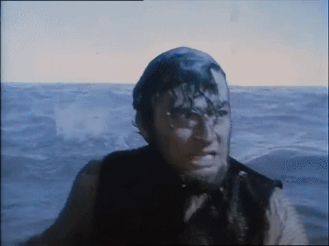  - Find & Share on GIPHY