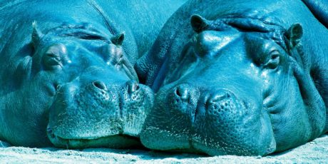 ‘Beyond the iPhone,’ And 6 Other Stories You Should Read