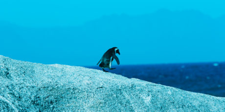 What We Read in 2016