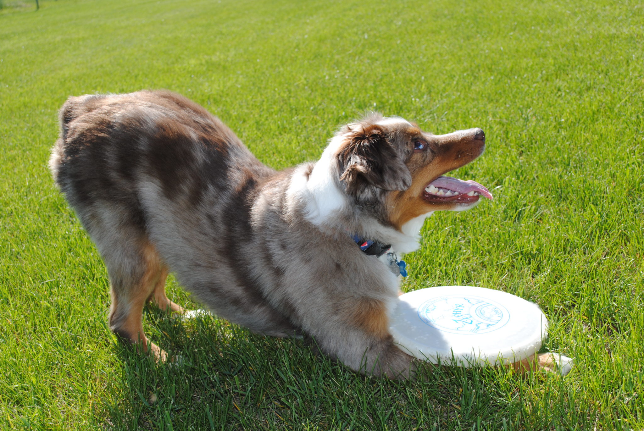 Content Catchup: Lil Jon’s Social Media Love Child, and More Must-Read Stories