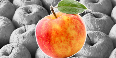 Don’t Let Data Idolatry Kill Your Content Marketing