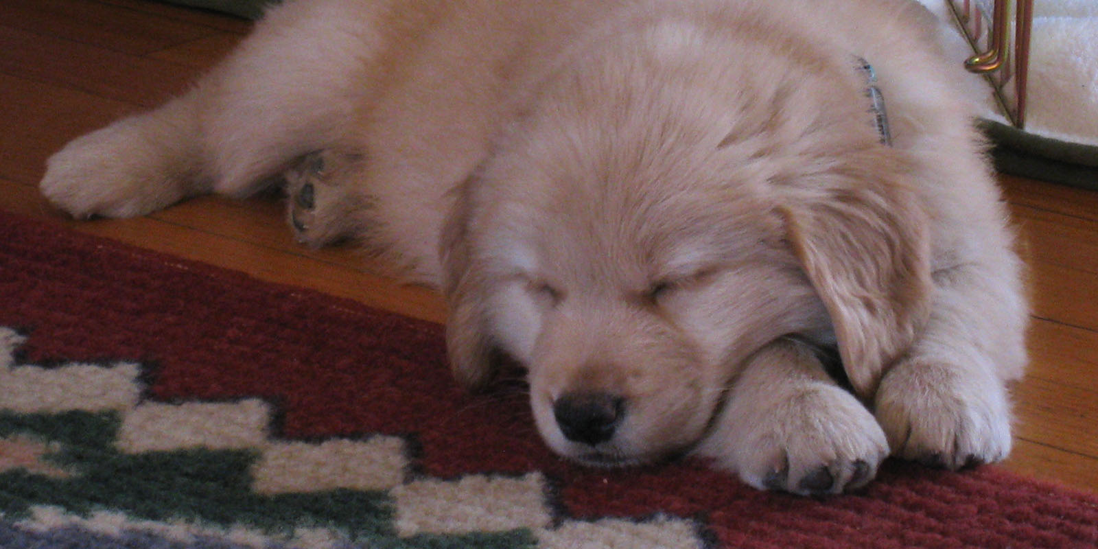 Content Catchup: How Top Brands Build Their Newsrooms, Red Bull’s Secret Team, and More Must-Reads