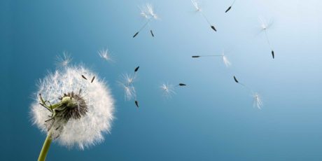 Contently Included on Inc. 5000’s Fastest-Growing Companies List for Second Consecutive Year