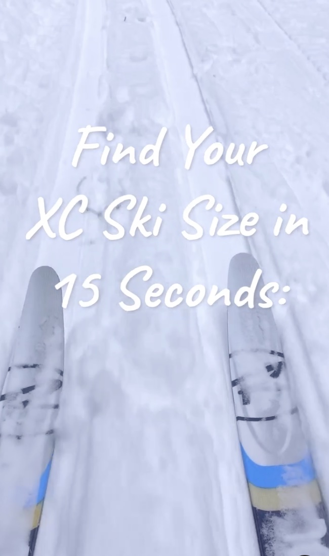 LL Bean video marketing