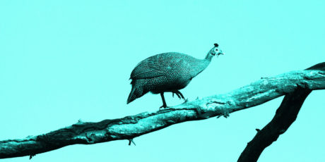 Content Catchup: The Ultimate ROI Guide, the Bitcoin of Ad Currencies, and More Must-Reads