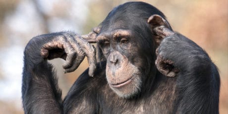 4 Awful Content Marketing Buzzwords That Will Terrorize You in 2019