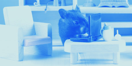 Content Catchup: Amex Raises the Bar for Brand Storytelling, Content Marketing Soulmates, and More Must-Reads