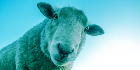 The Tricky Art of Marketing Women’s Empowerment, and 6 Other Stories We Loved in March